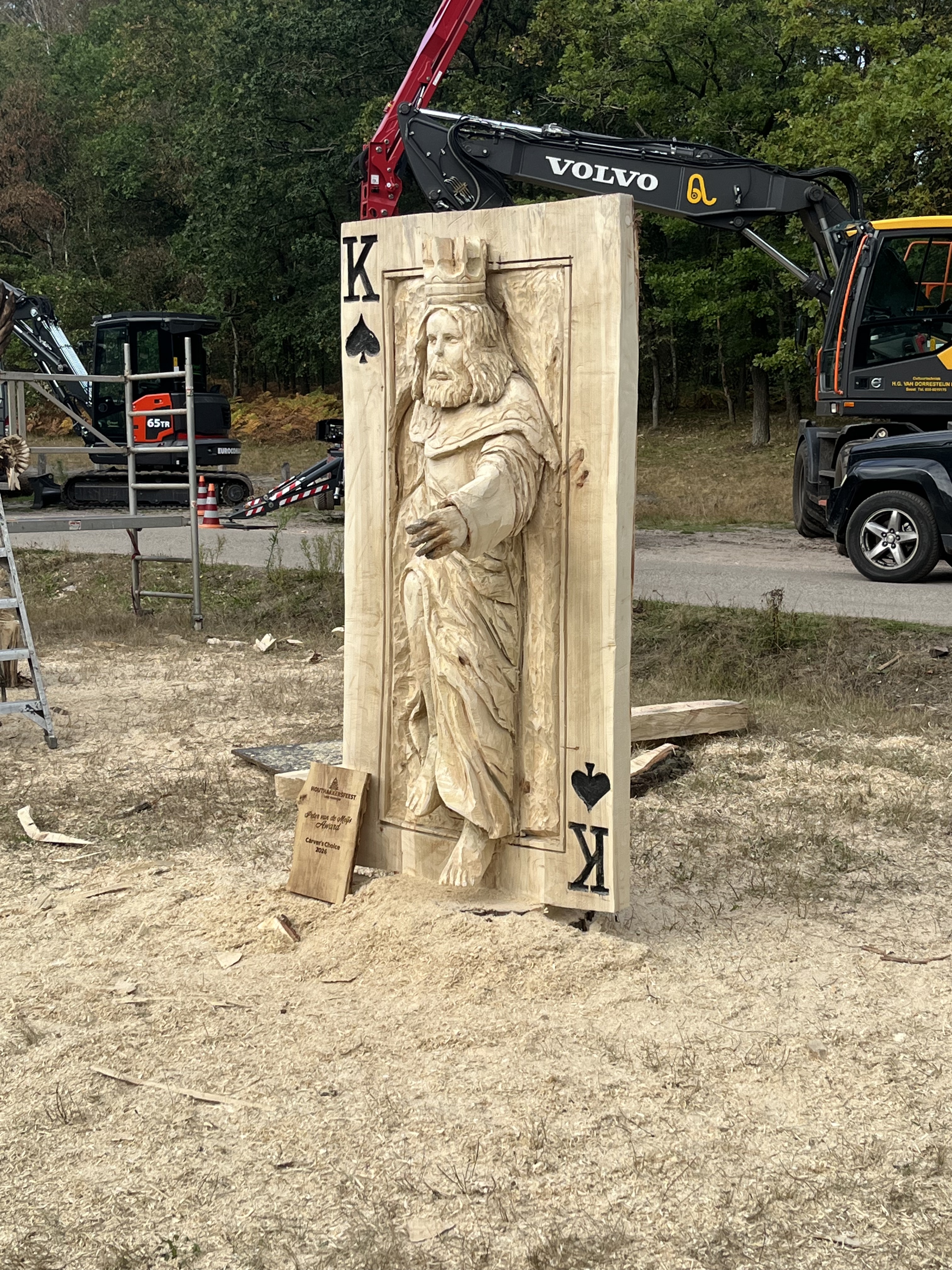 Kaartkoning foto 1
