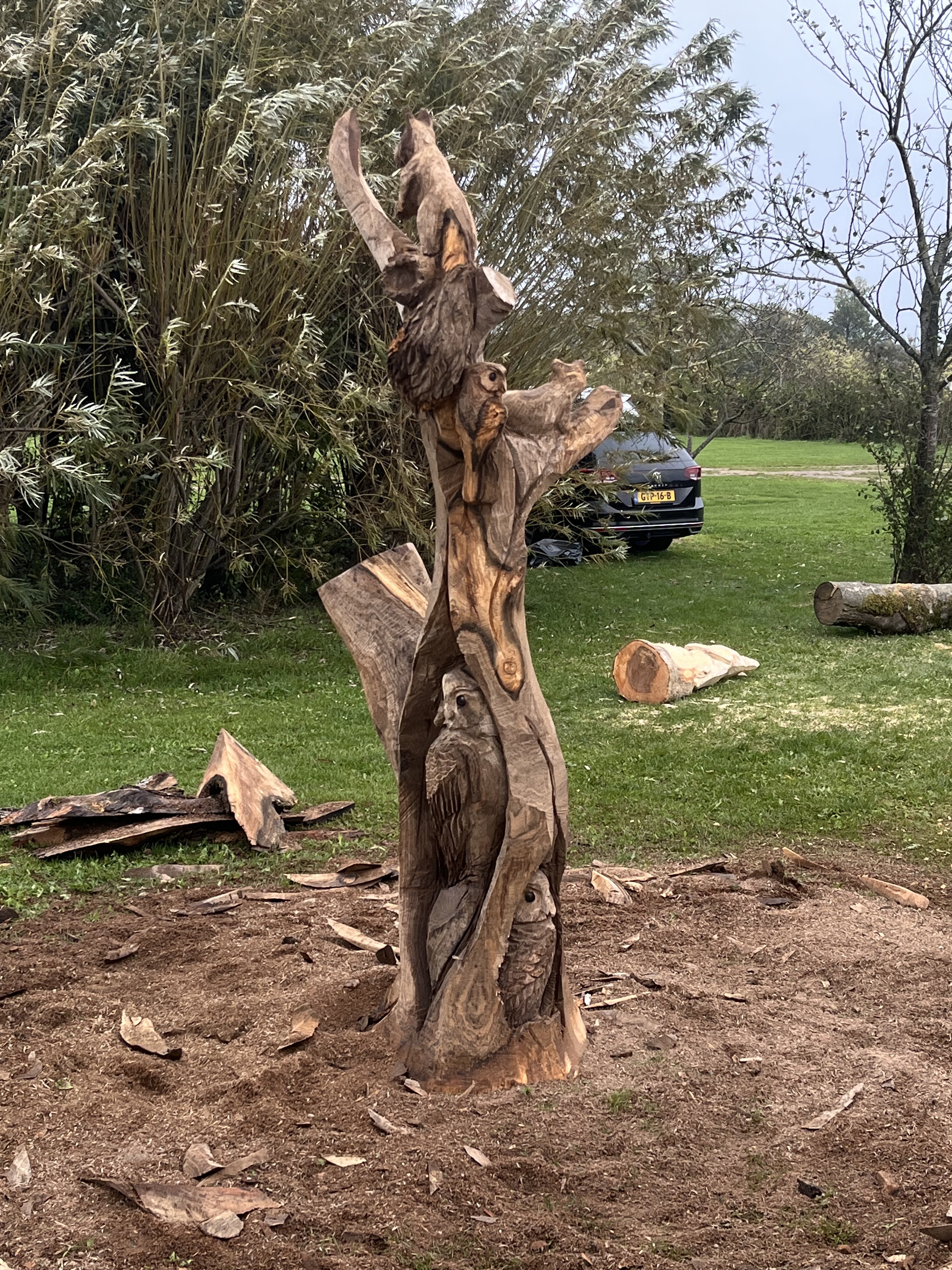 Natuurboom